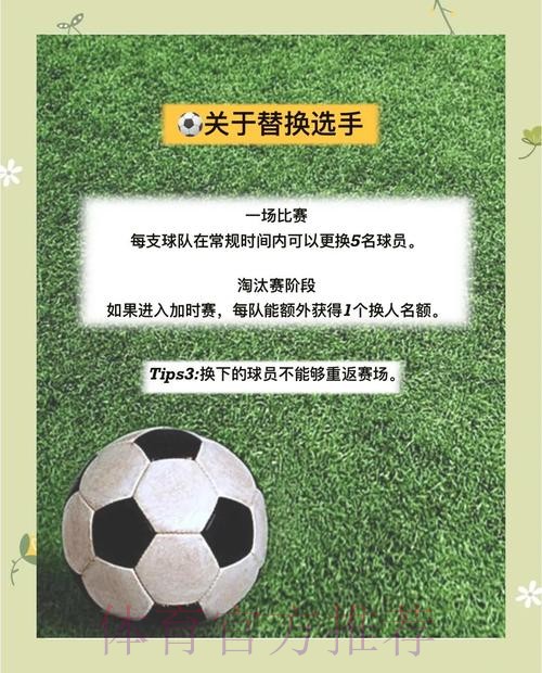 世界杯比分全程追踪与深度解析